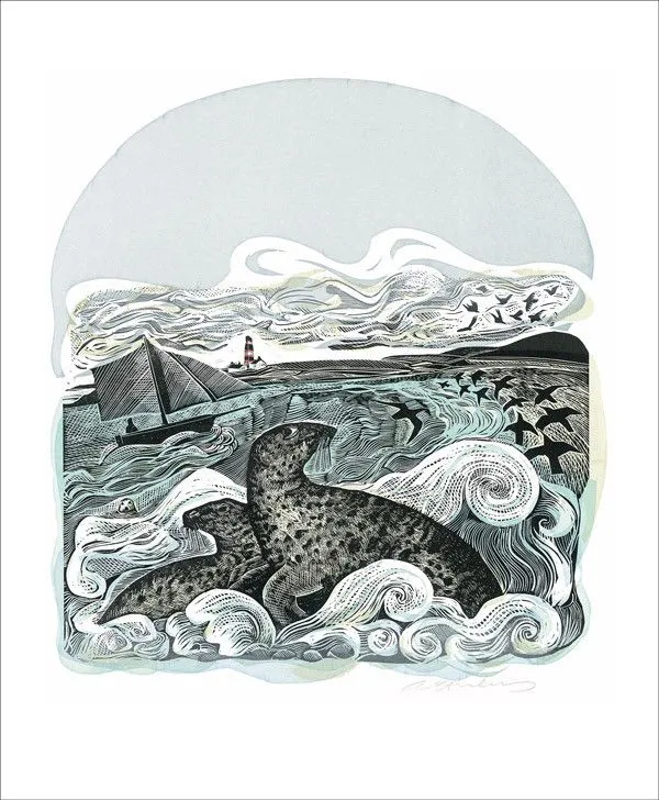 Angela Harding Notecards - Gannets at Rathlin Island and Seal Song - Set of 10