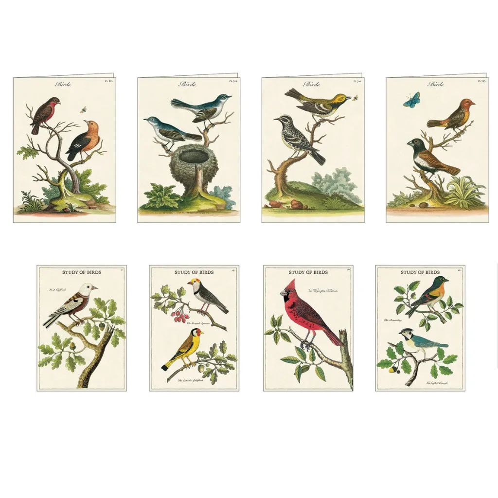 Birds Stationery Set