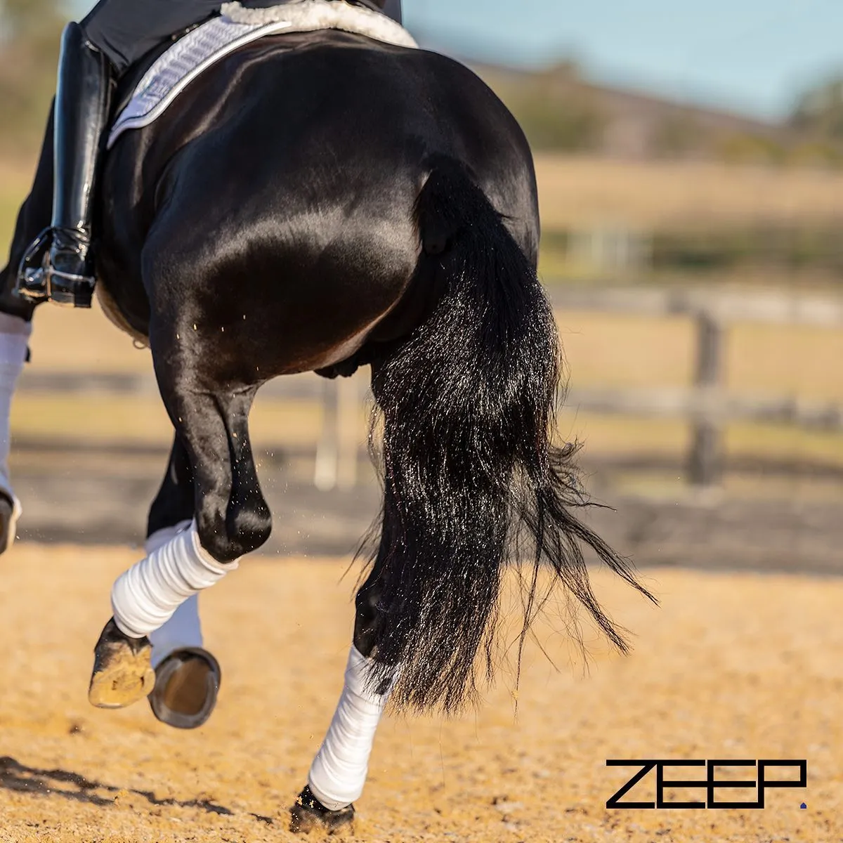 Zeep Equine Stardust Super Shine Serum